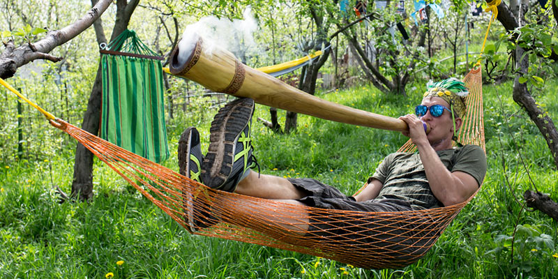 Fröhliches 4/20! das ultimative menü für die 4/20 feier