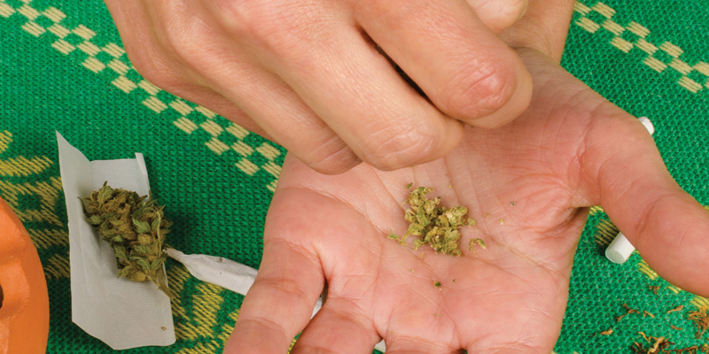 Cannabis 101: How to Grind Weed Without a Grinder