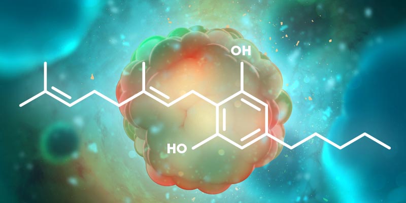 CBG AND CANCER