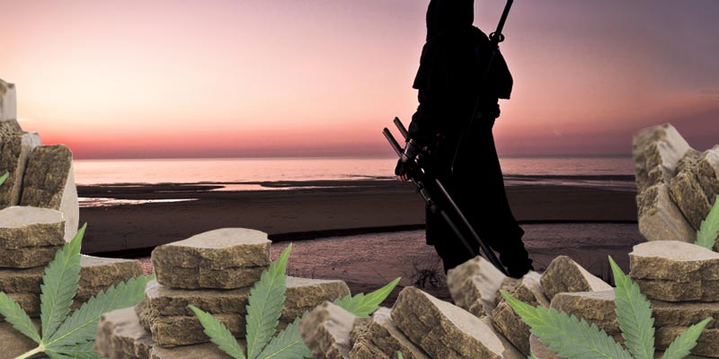 Che relazione esiste tra l'hashish e gli assassini?